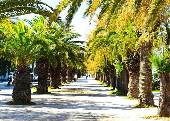 La Conchiglia Lägenhet San Benedetto del Tronto