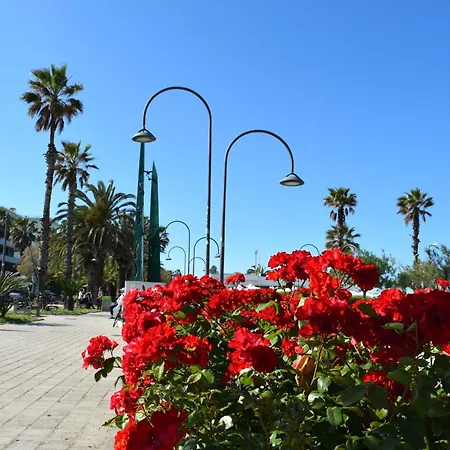 La Conchiglia * San Benedetto del Tronto